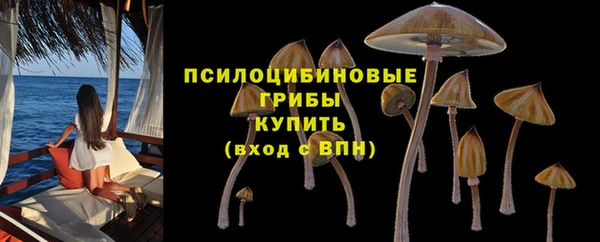 PSILOCYBIN Горняк