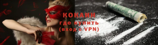 PSILOCYBIN Горняк