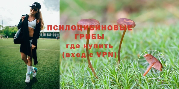 PSILOCYBIN Горняк
