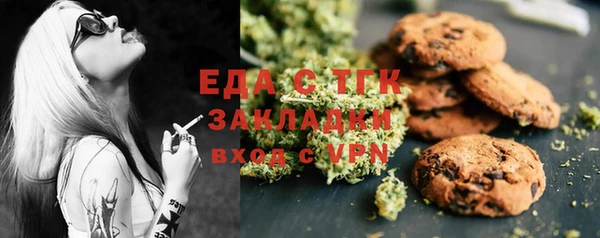 PSILOCYBIN Горняк
