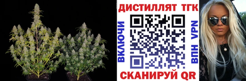 ТГК THC oil  Няндома 
