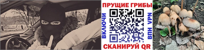 Галлюциногенные грибы GOLDEN TEACHER  Няндома 